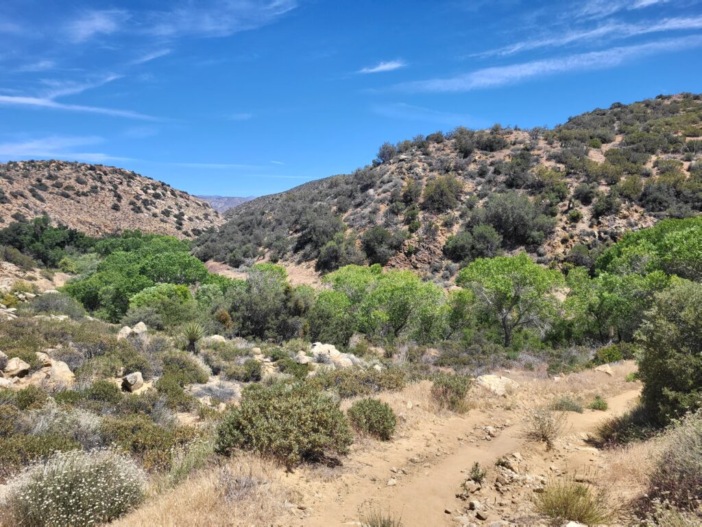 PCT day 10 · PCT class 2022 – fotka 2