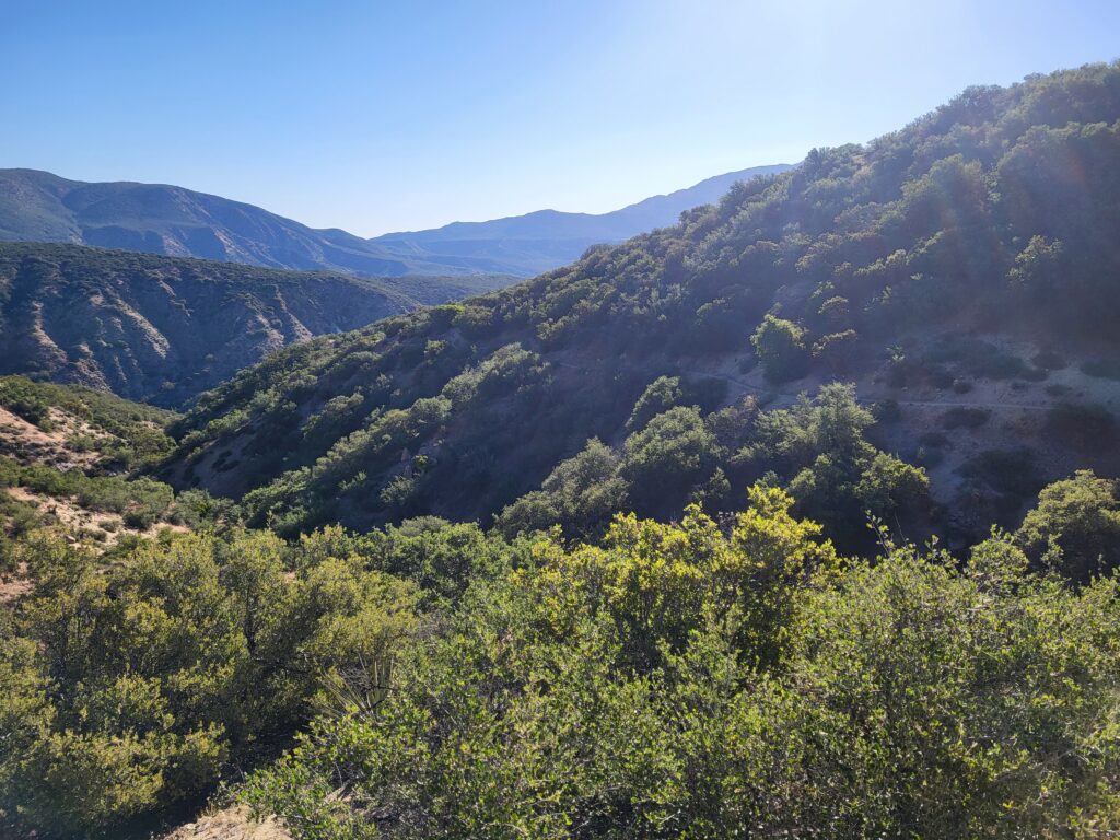 PCT day 11 · PCT class 2022 – fotka 6