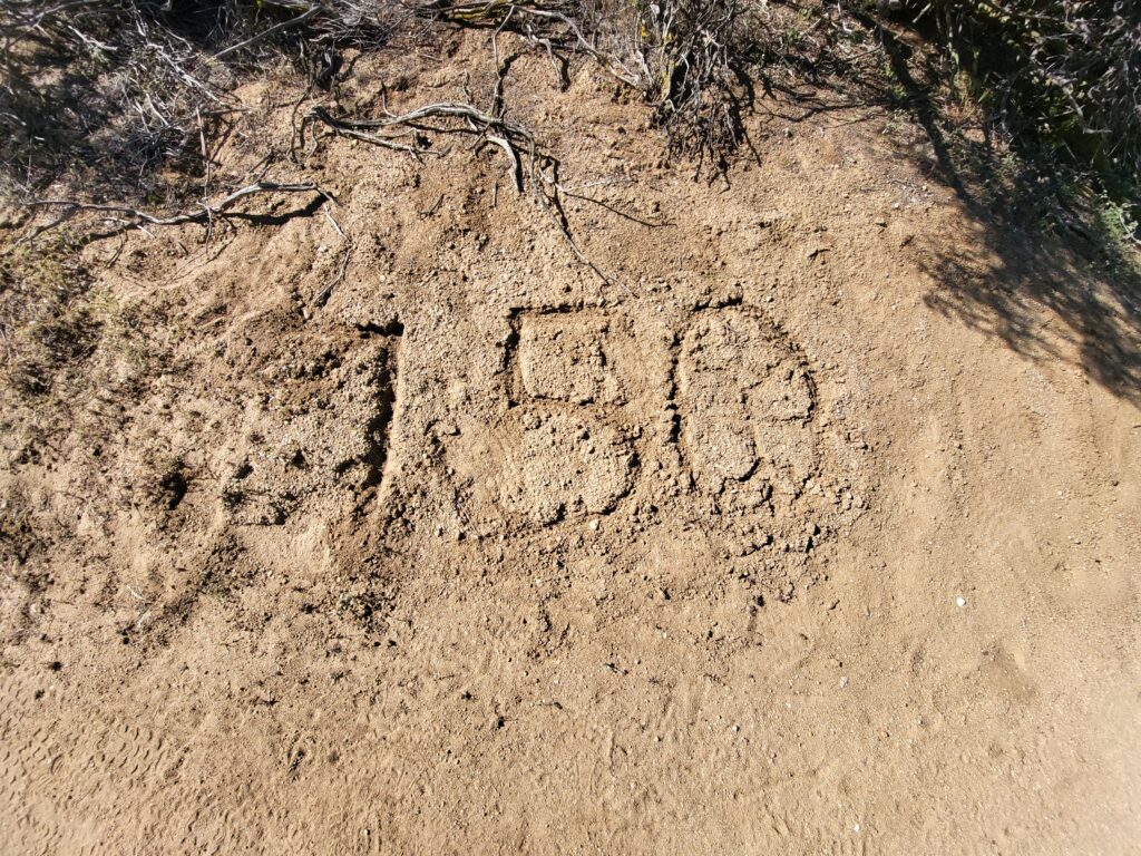 PCT day 11 · PCT class 2022 – fotka 3