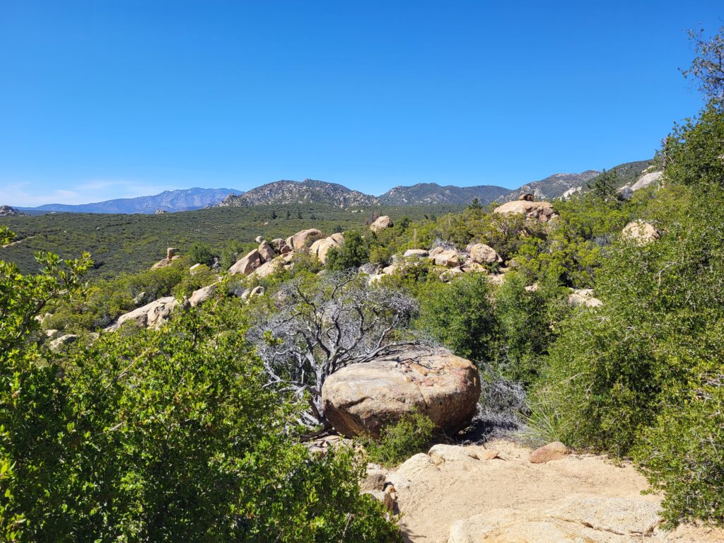 PCT day 12 · PCT class 2022 – fotka 7