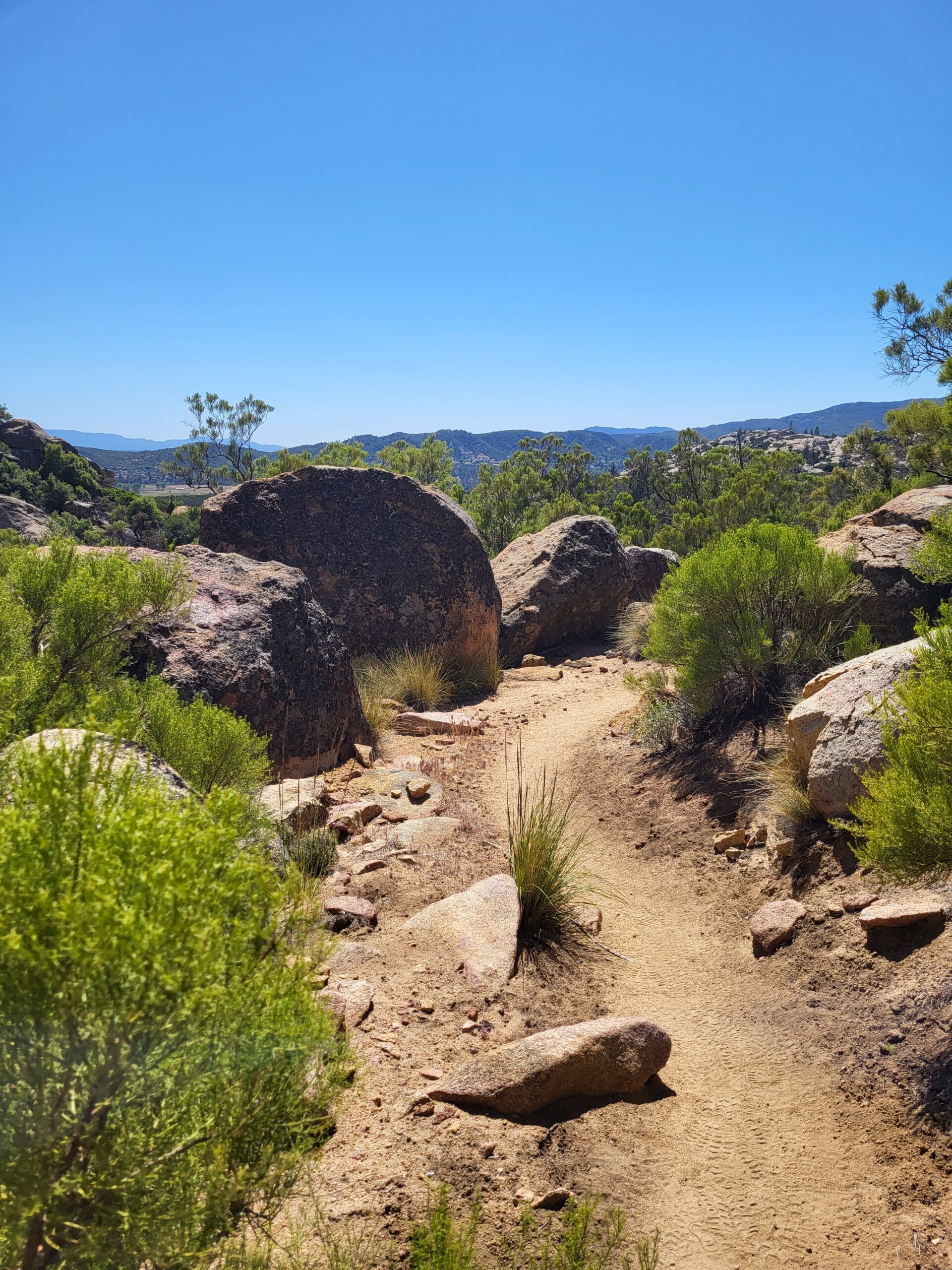 PCT day 12 · PCT class 2022 – fotka 6