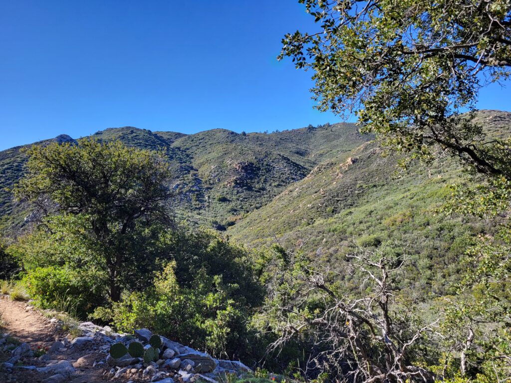 PCT day 12 · PCT class 2022 – fotka 5