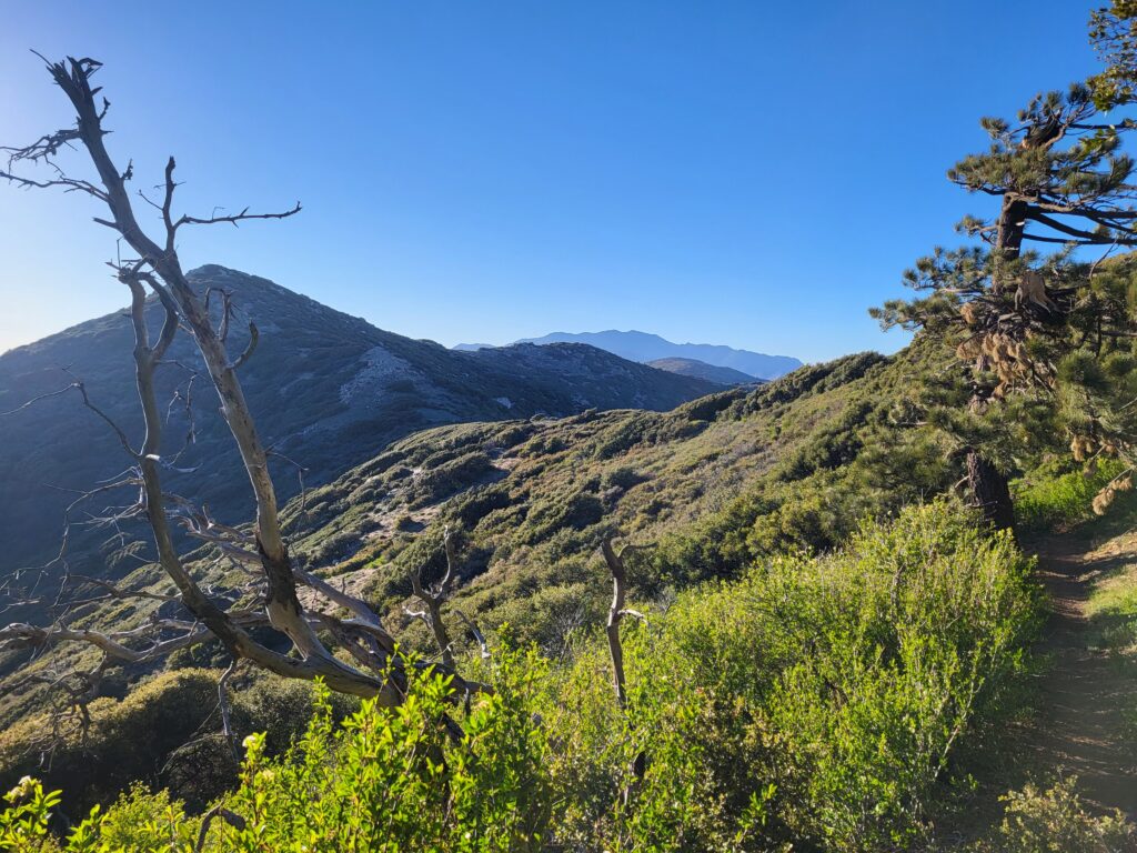 PCT day 12 · PCT class 2022 – fotka 3