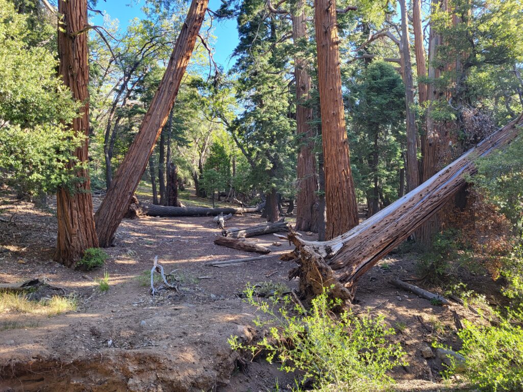 PCT day 13 · PCT class 2022 – fotka 2
