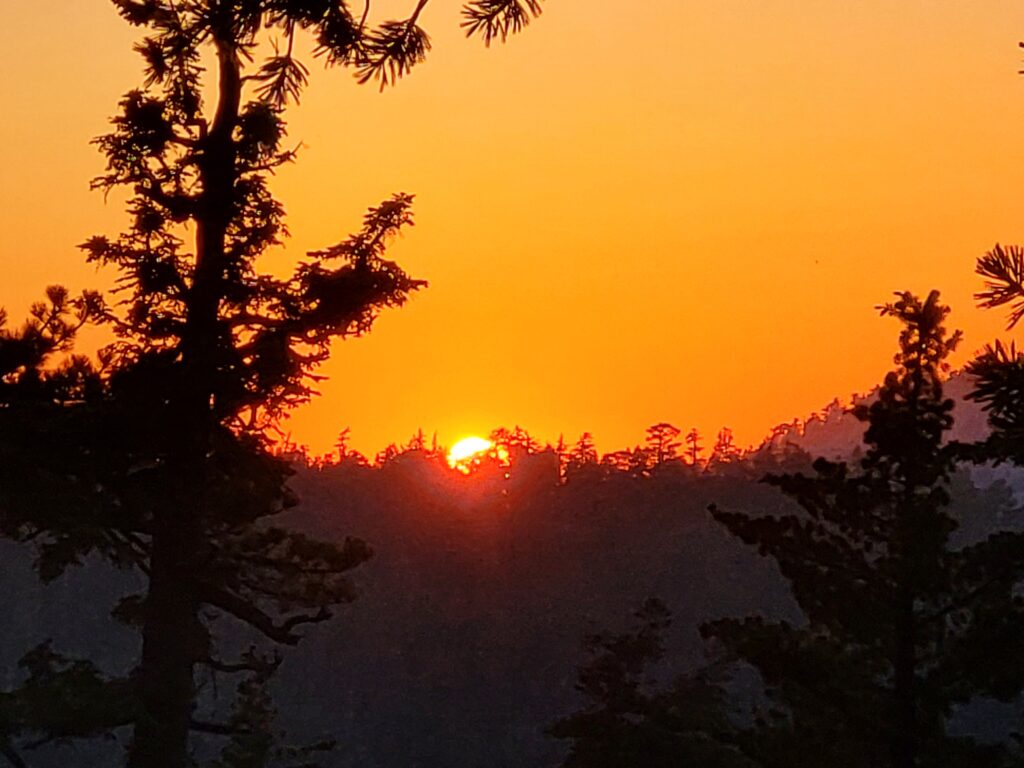 PCT day 13 · PCT class 2022 – fotka 7