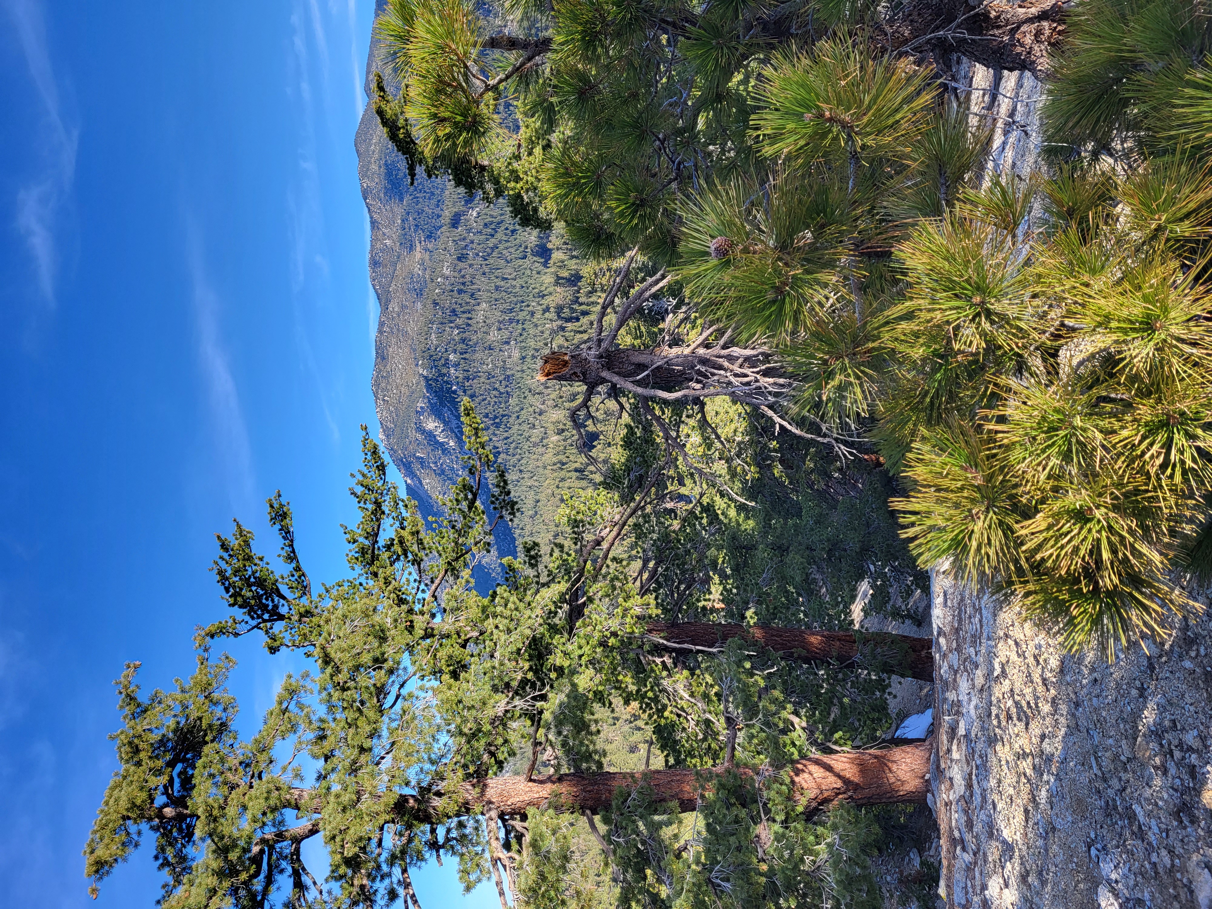 PCT day 14 · PCT class 2022 – fotka 5