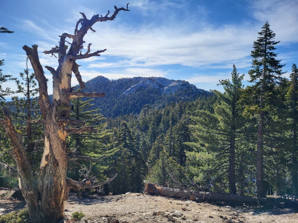 PCT day 14 · PCT class 2022 – fotka 4