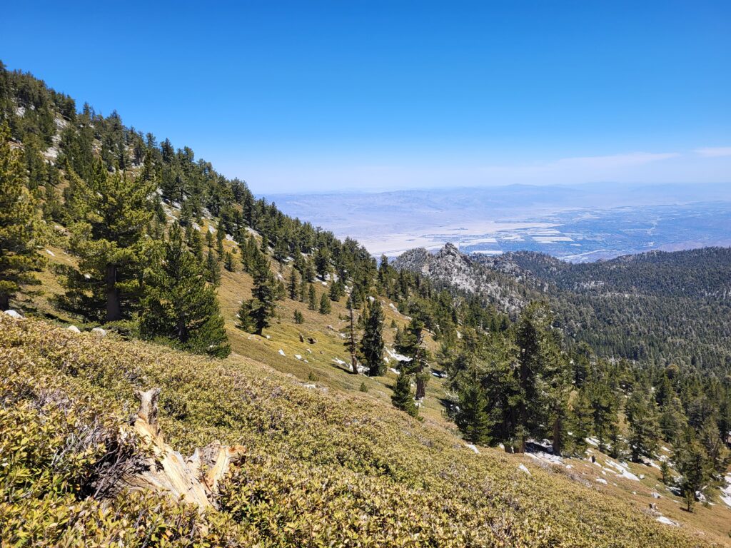 PCT day 14 · PCT class 2022 – fotka 3