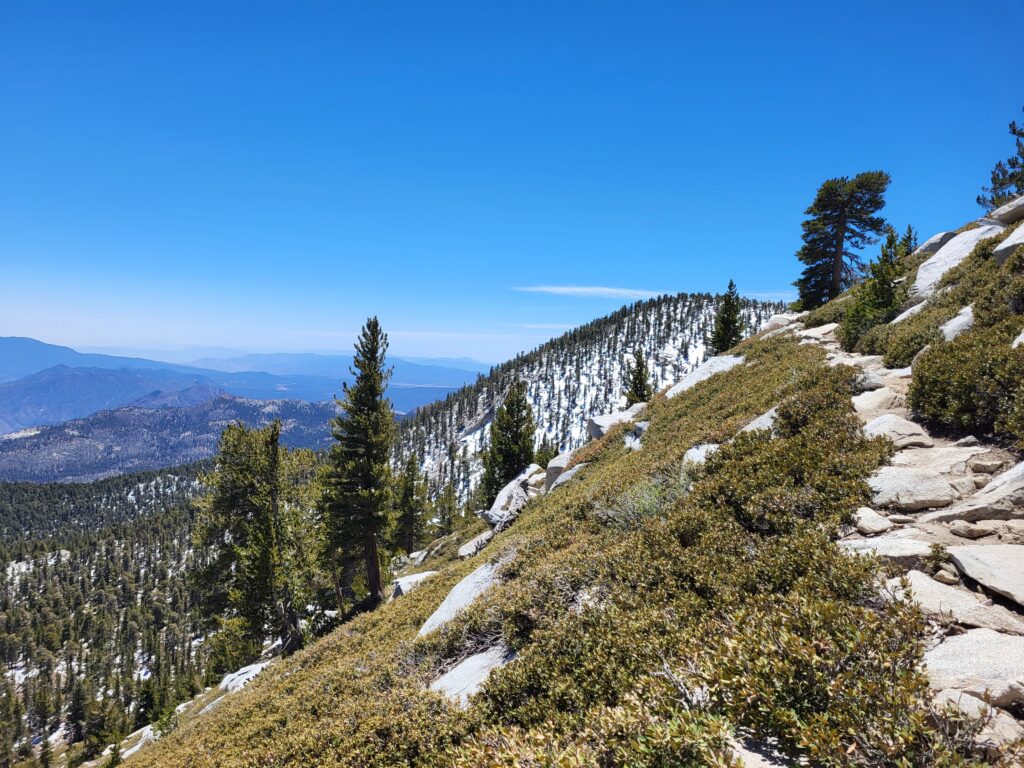 PCT day 14 · PCT class 2022 – fotka 2