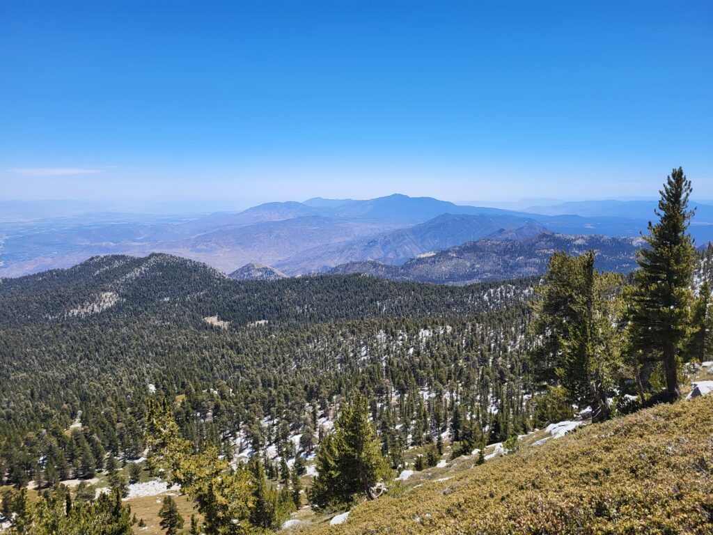 PCT day 14 · PCT class 2022 – fotka 1