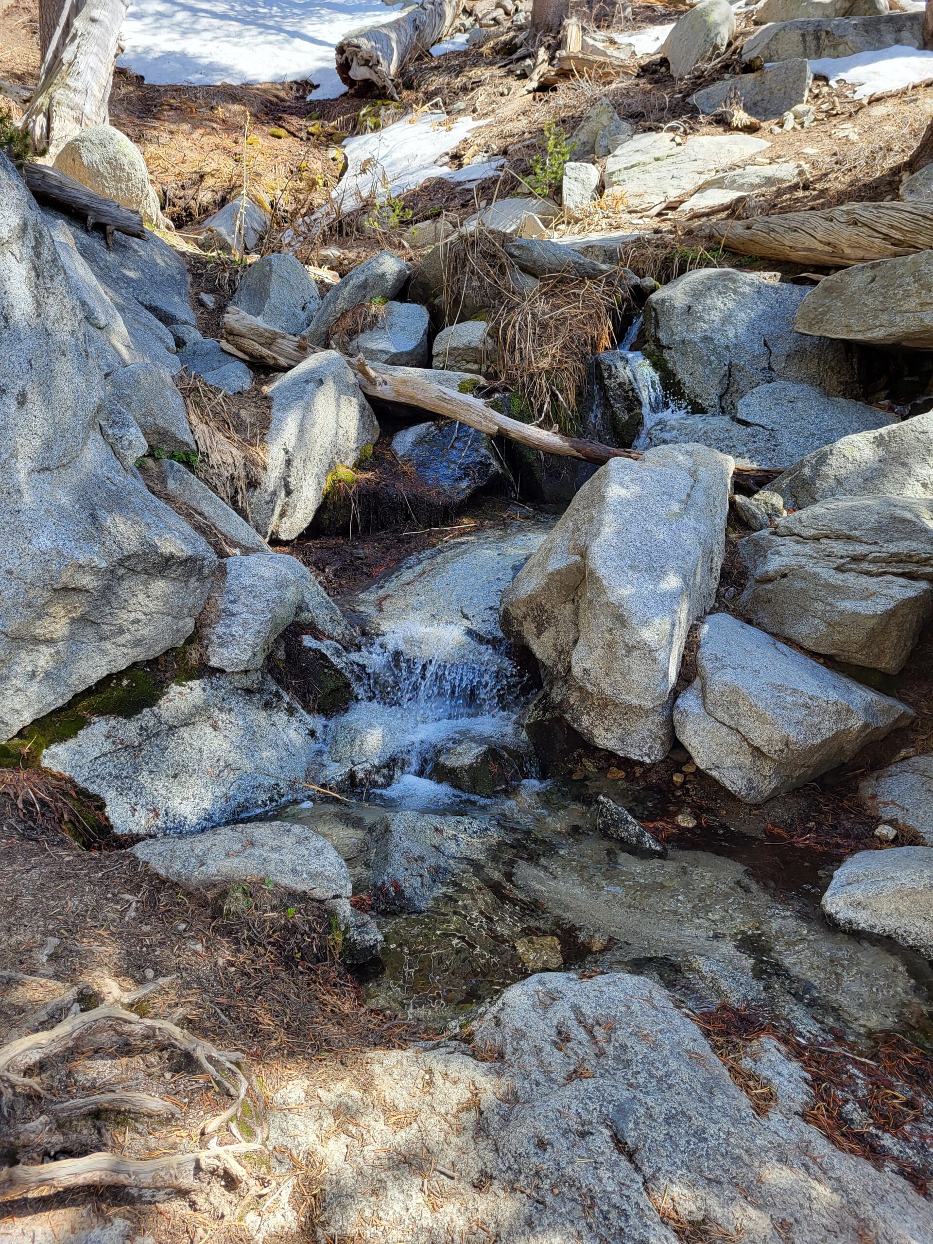 PCT day 14 · PCT class 2022 – fotka 9