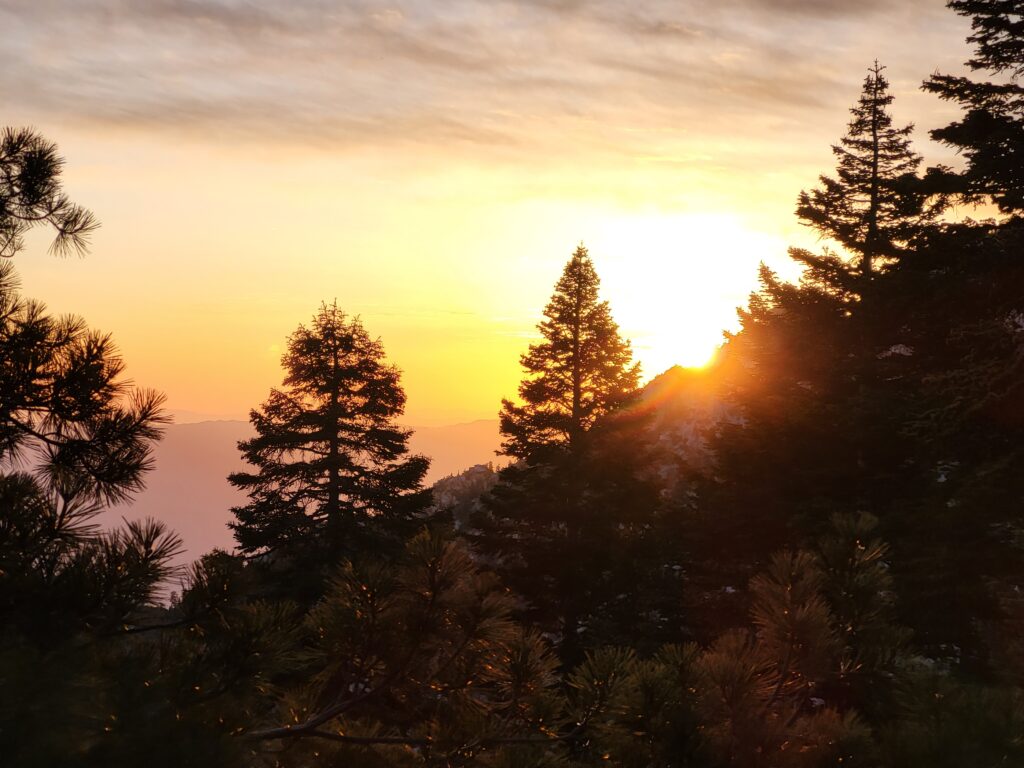 PCT day 15 · PCT class 2022 – fotka 1