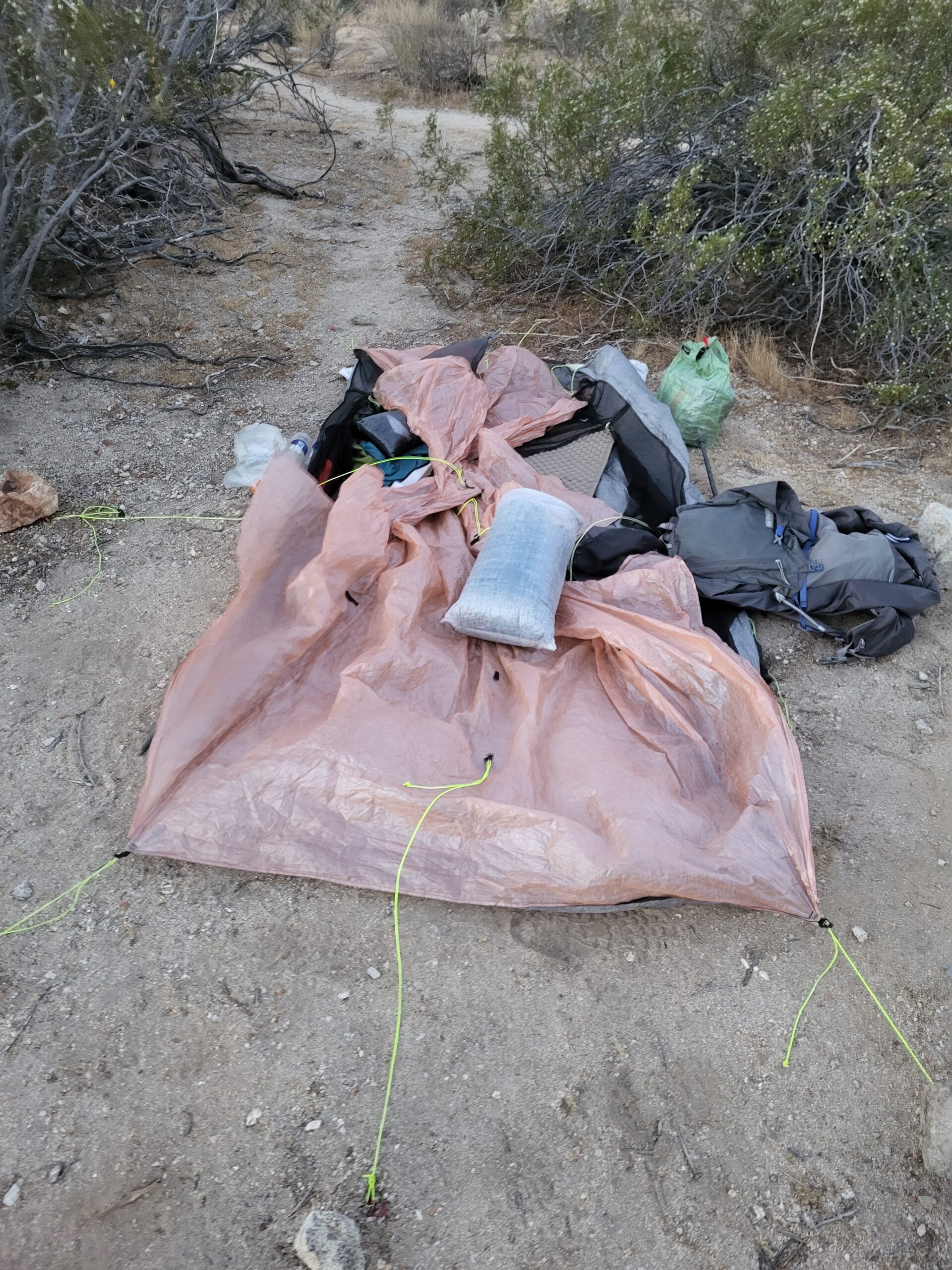 PCT day 16 · PCT class 2022 – fotka 1