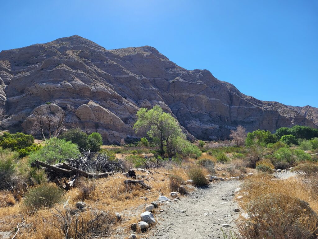 PCT day 16 · PCT class 2022 – fotka 6