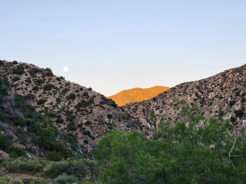 PCT day 16 · PCT class 2022 – fotka 10