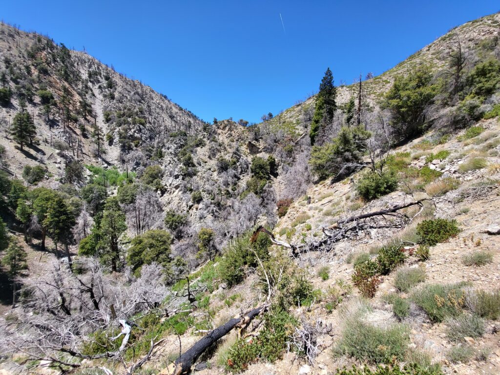 PCT day 17 · PCT class 2022 – fotka 1