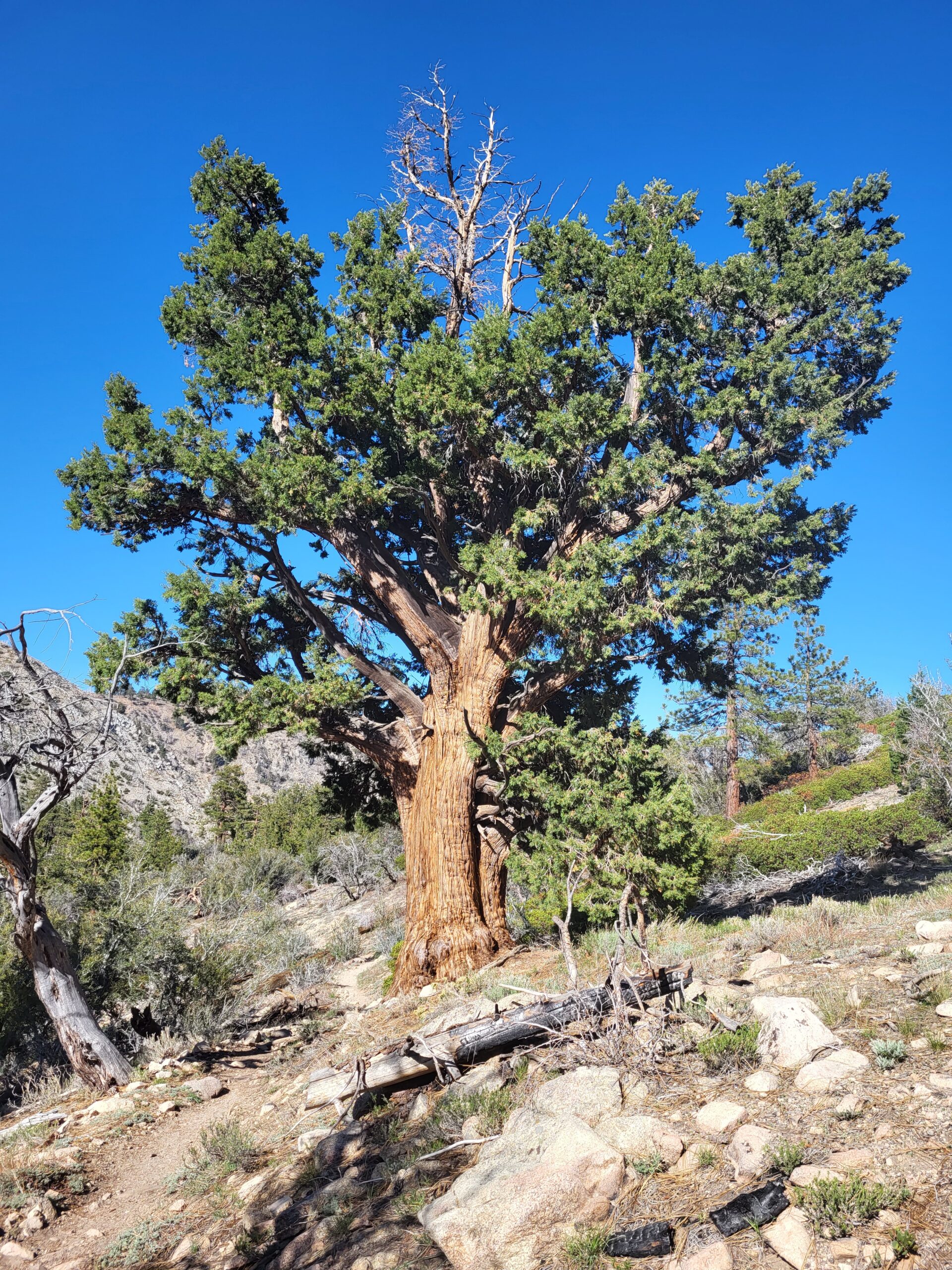 PCT day 17 · PCT class 2022 – fotka 4