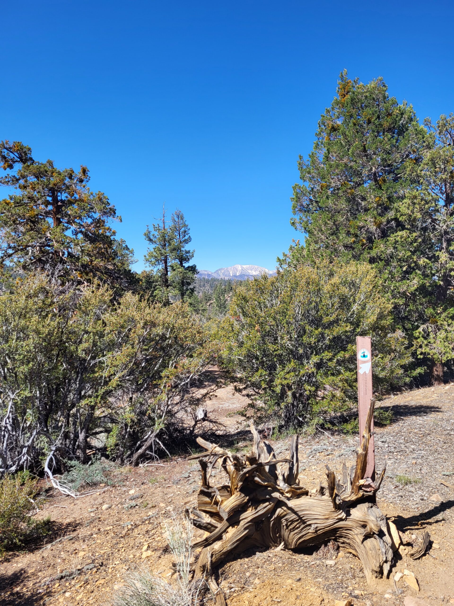 PCT day 18 · PCT class 2022 – fotka 3