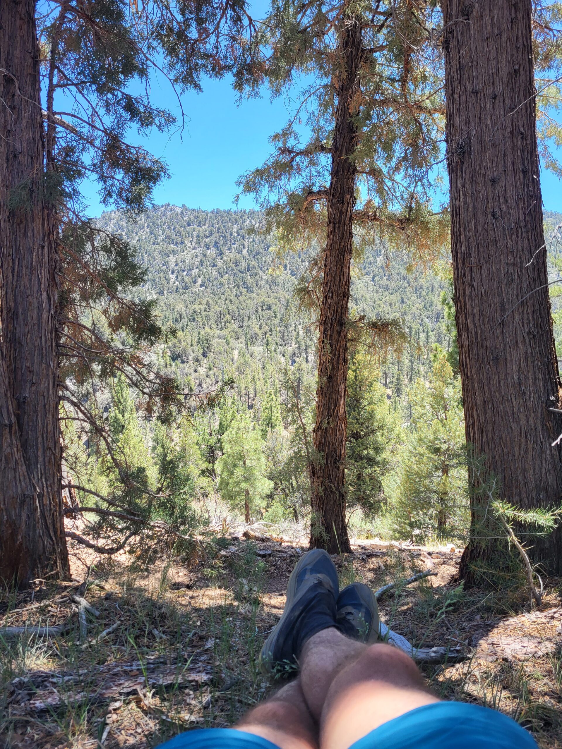 PCT day 21 · PCT class 2022 – fotka 3