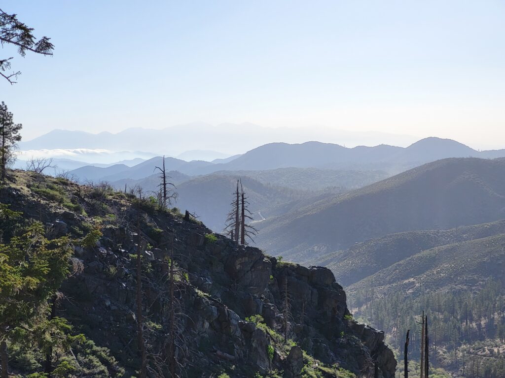 PCT day 21 · PCT class 2022 – fotka 6