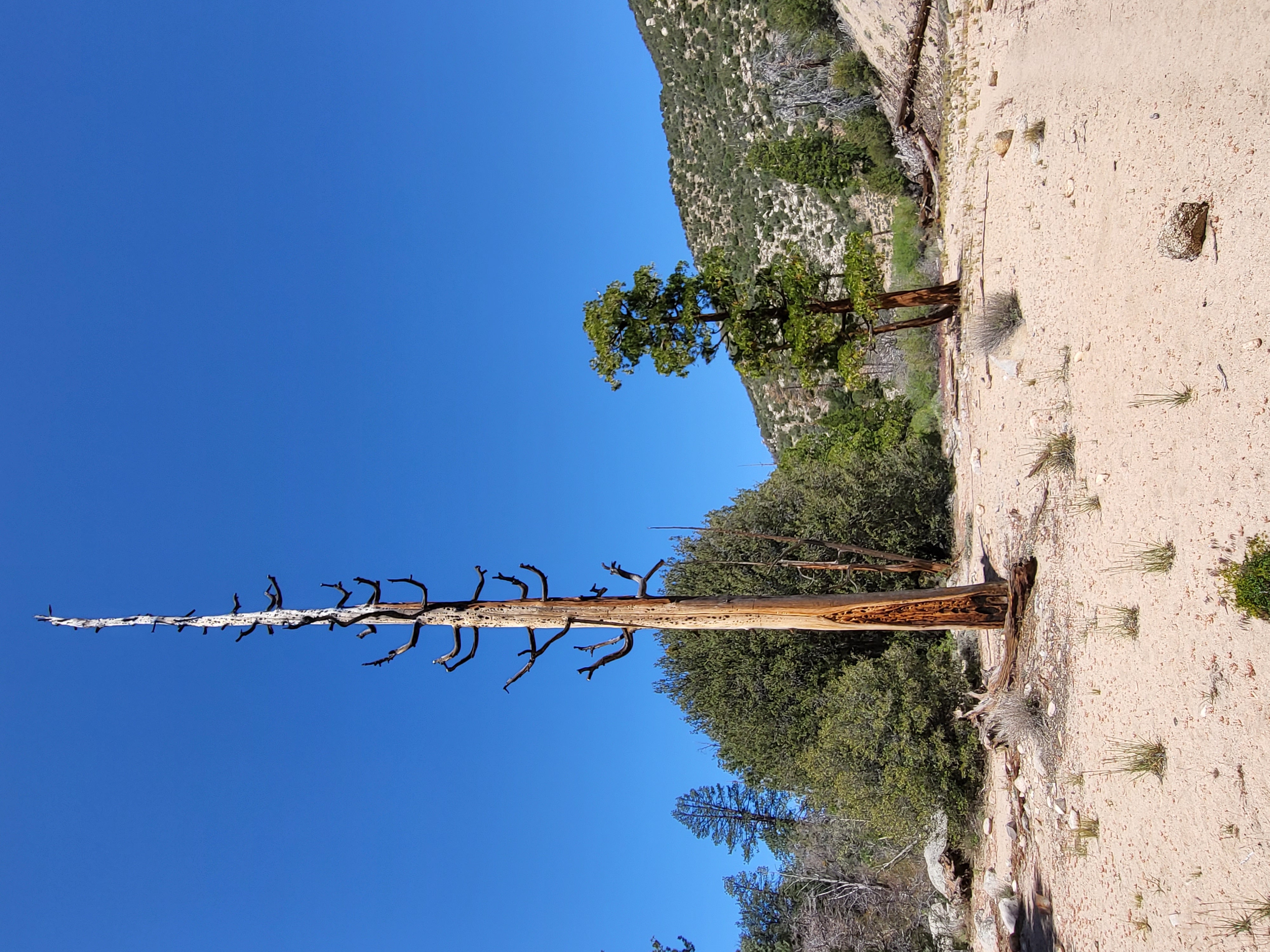 PCT day 22 · PCT class 2022 – fotka 2