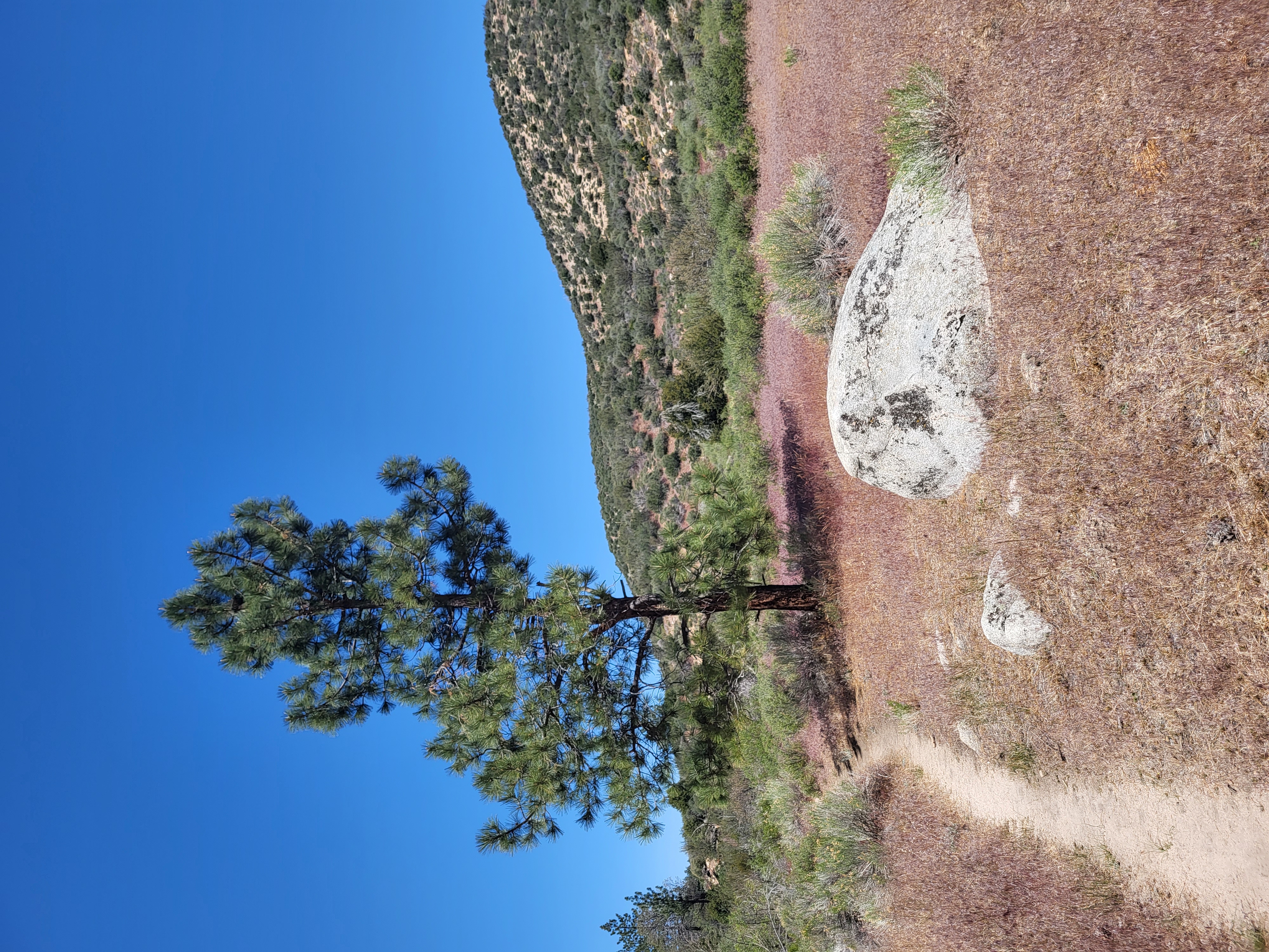 PCT day 22 · PCT class 2022 – fotka 3