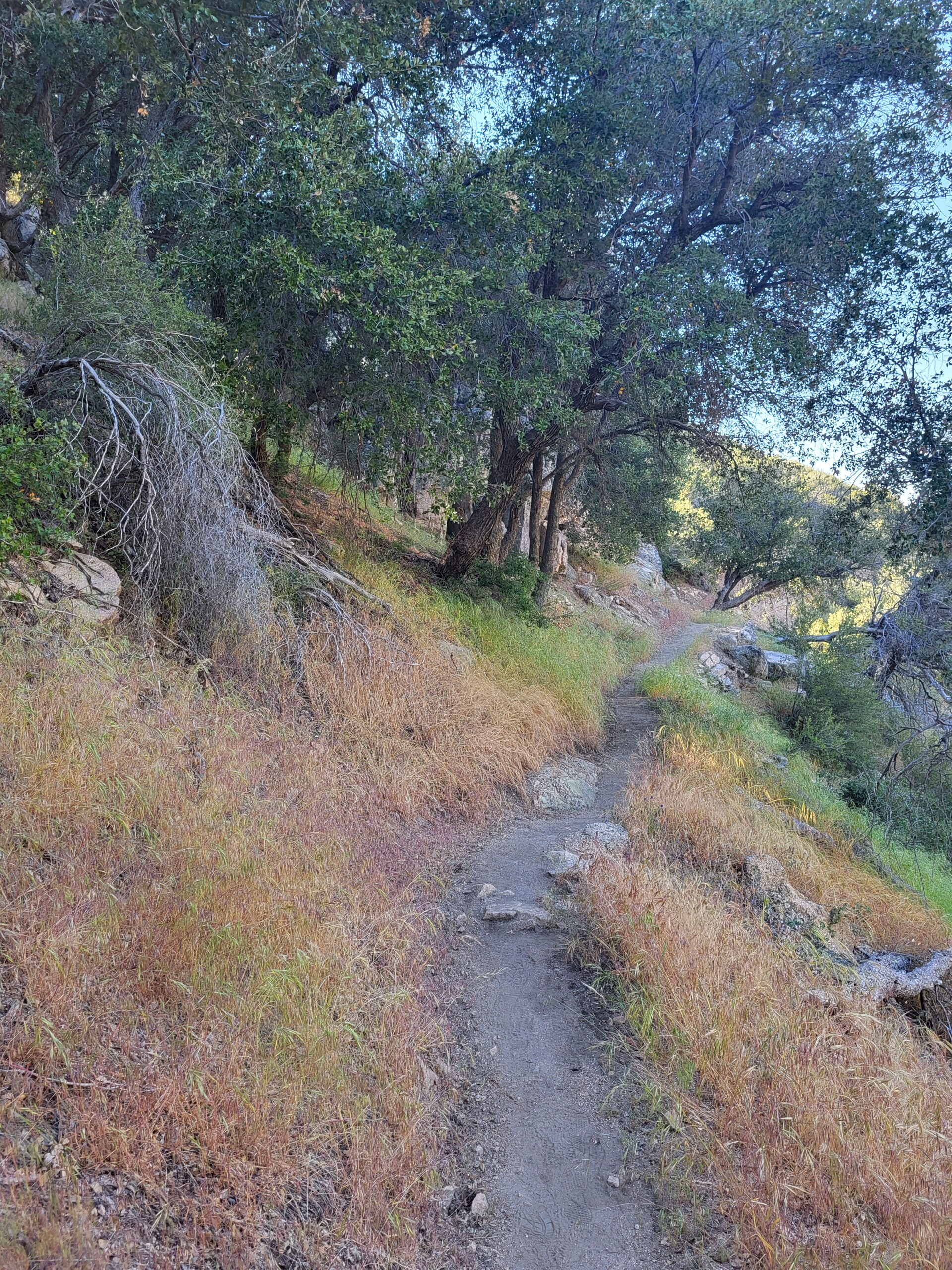 PCT day 22 · PCT class 2022 – fotka 7