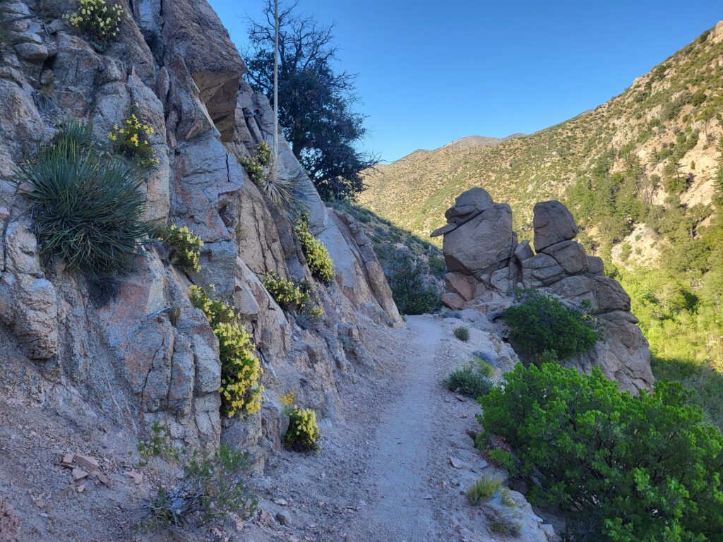 PCT day 22 · PCT class 2022 – fotka 11