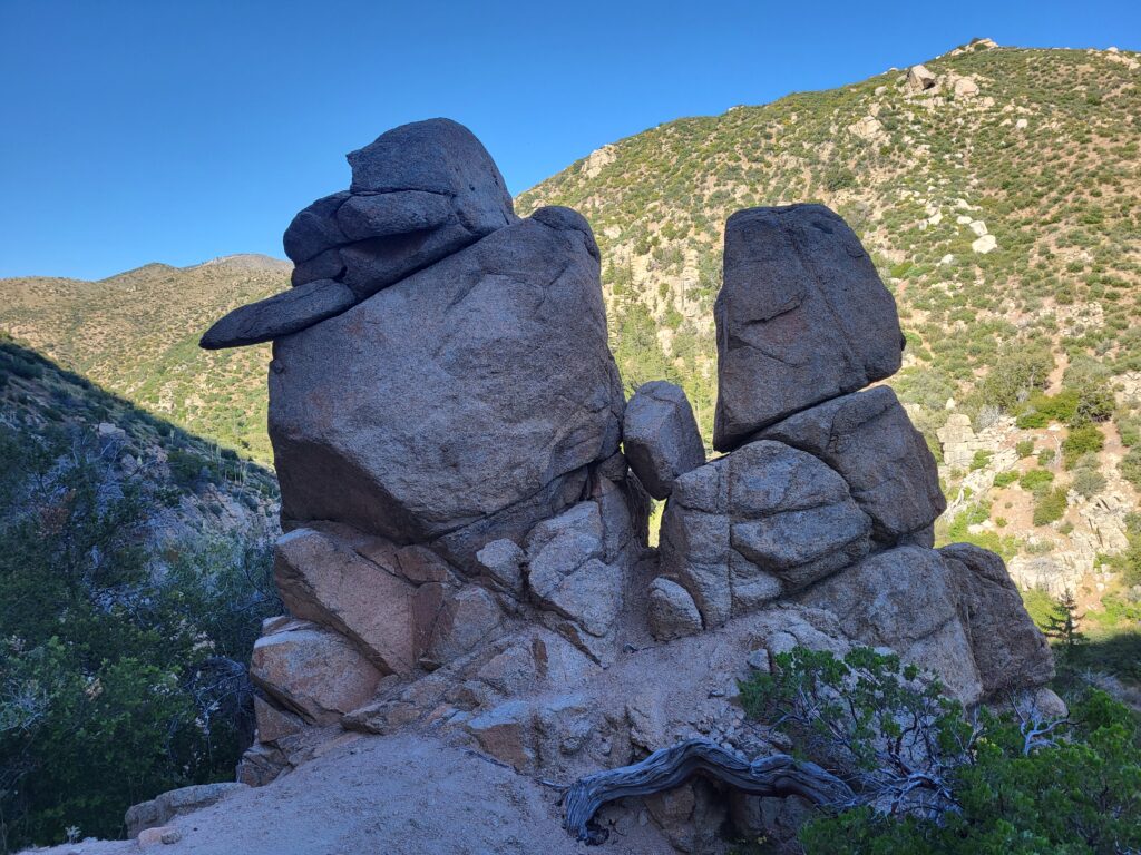 PCT day 22 · PCT class 2022 – fotka 12