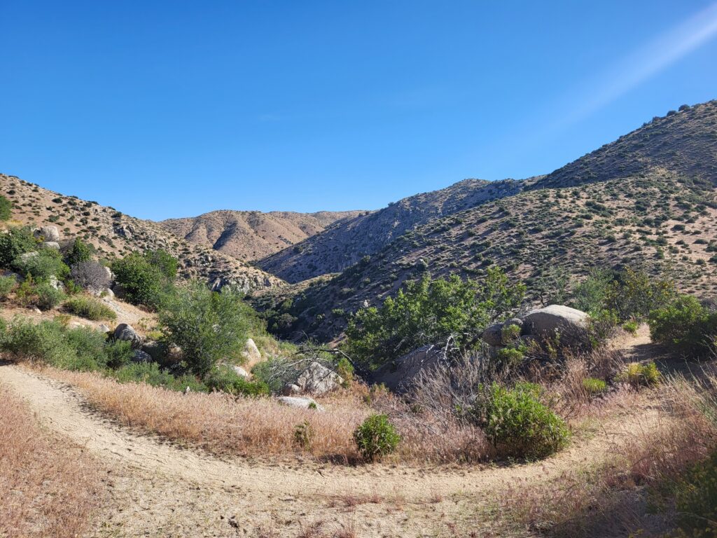 PCT day 23 · PCT class 2022 – fotka 1