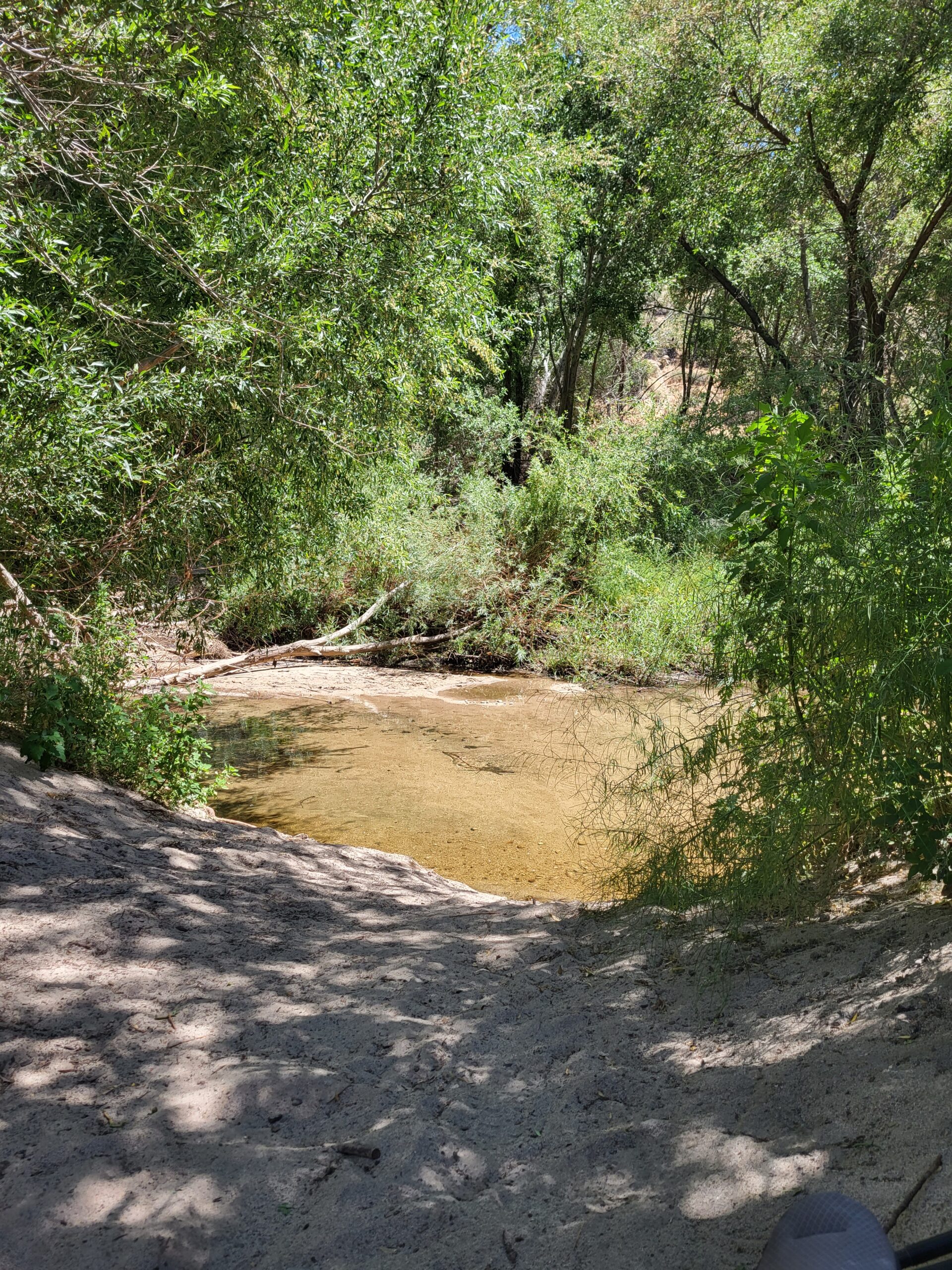 PCT day 23 · PCT class 2022 – fotka 6