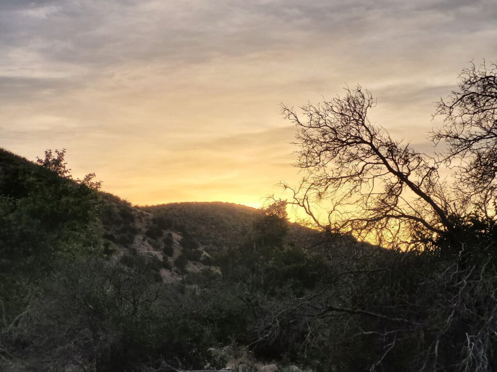PCT day 23 · PCT class 2022 – fotka 10