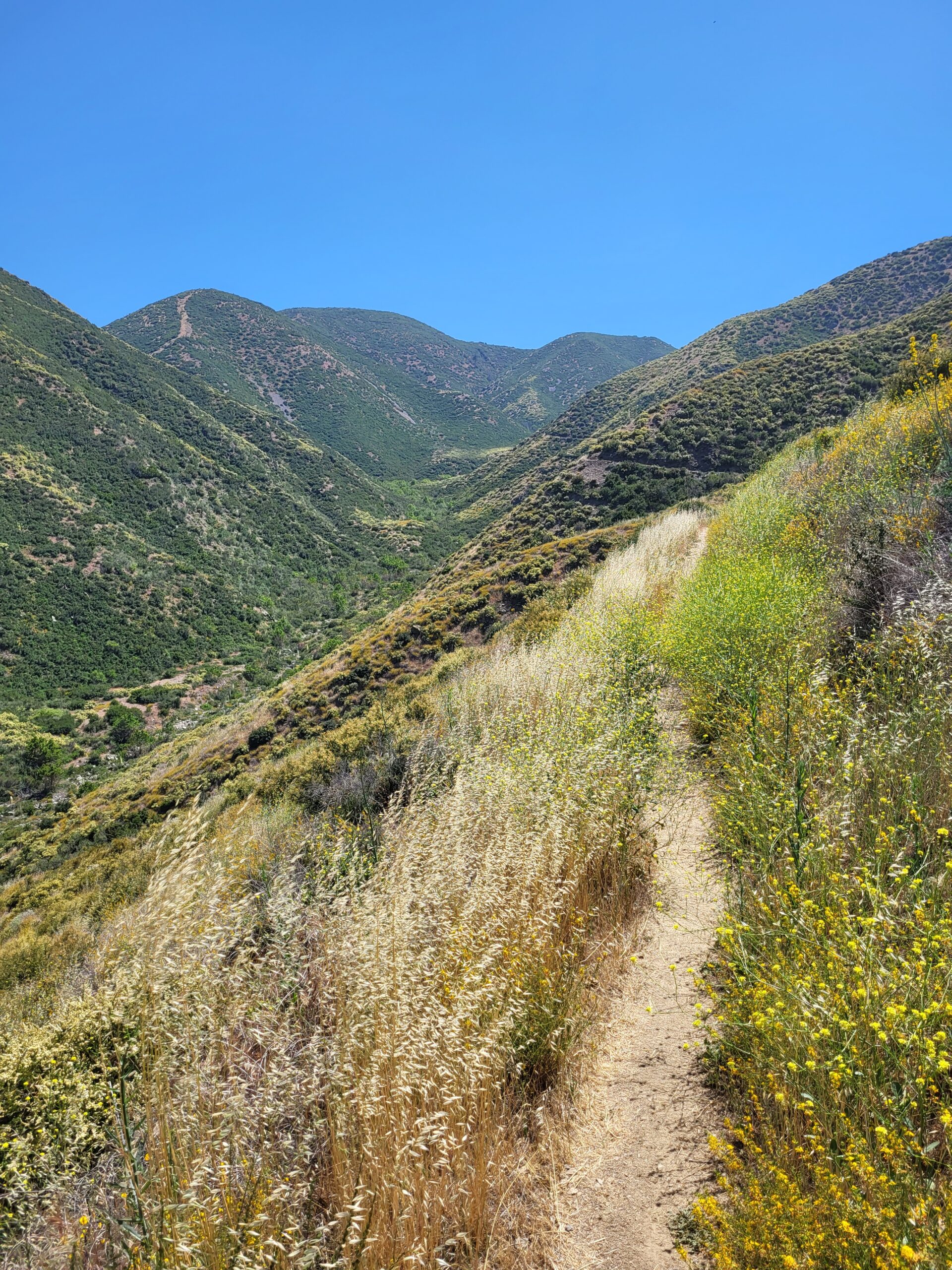 PCT day 25 · PCT class 2022 – fotka 5