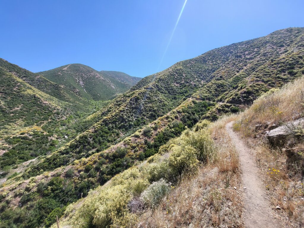 PCT day 25 · PCT class 2022 – fotka 6