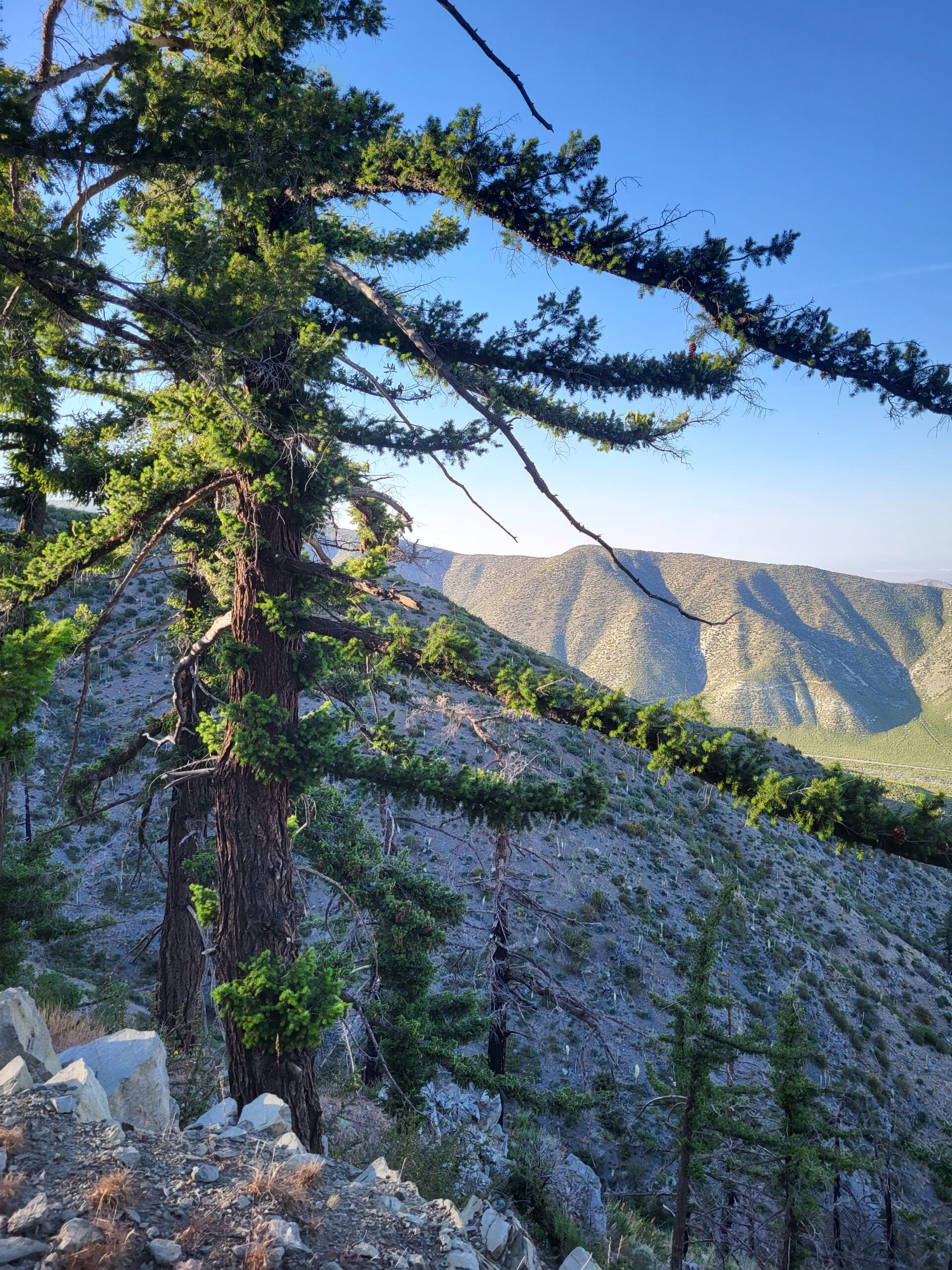 PCT day 25 · PCT class 2022 – fotka 8