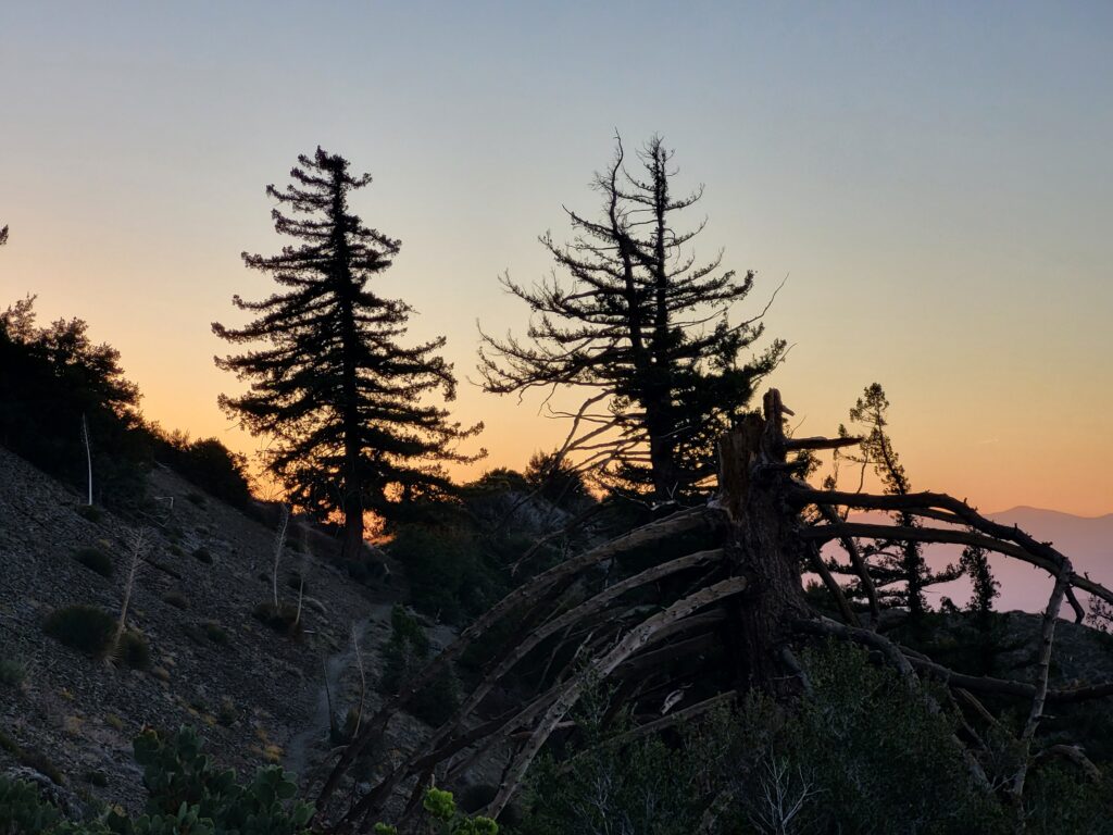 PCT day 26 · PCT class 2022 – fotka 1