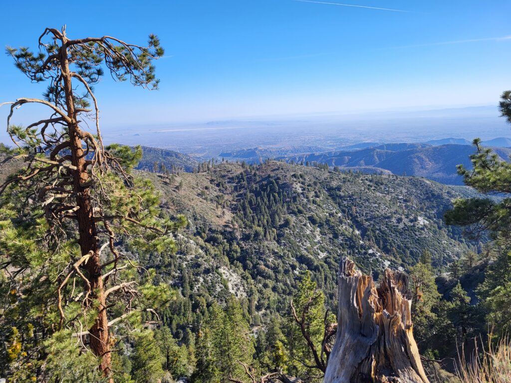 PCT day 26 · PCT class 2022 – fotka 2