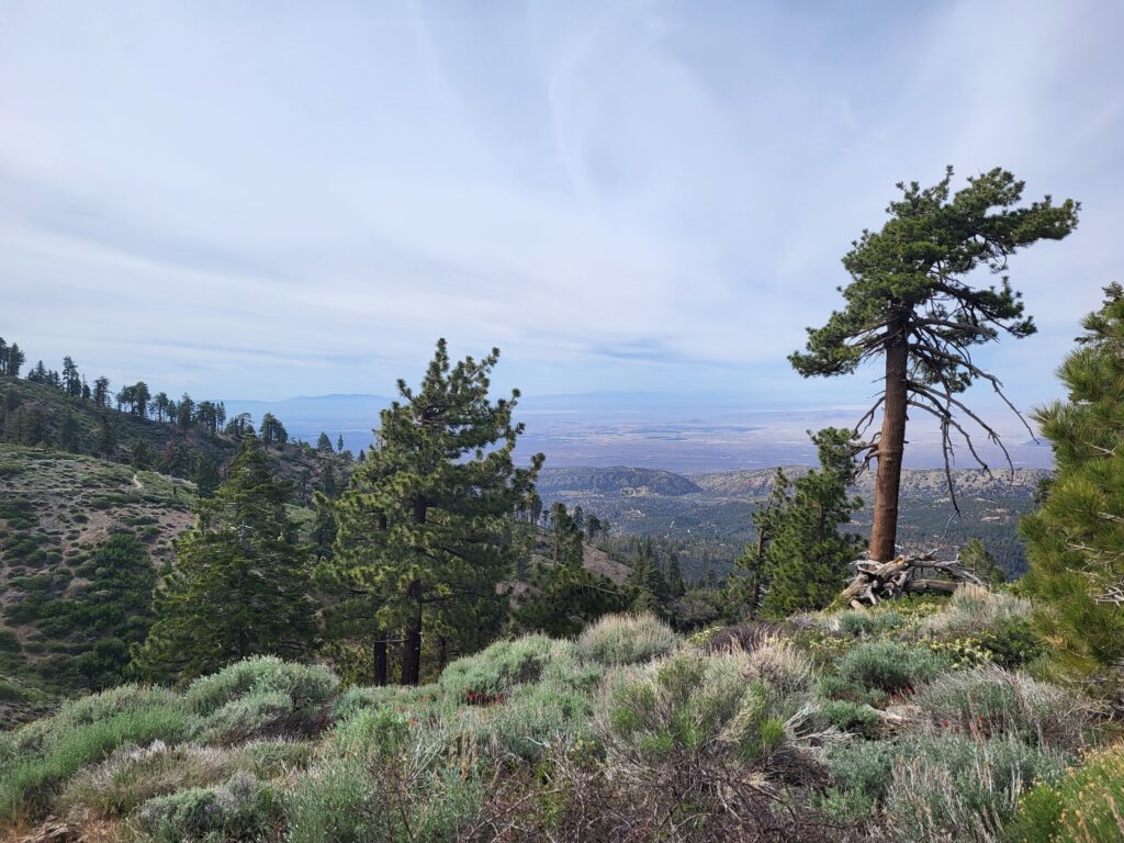 PCT day 27 · PCT class 2022 – fotka 4