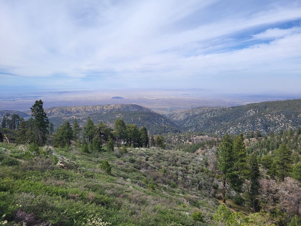 PCT day 27 · PCT class 2022 – fotka 3