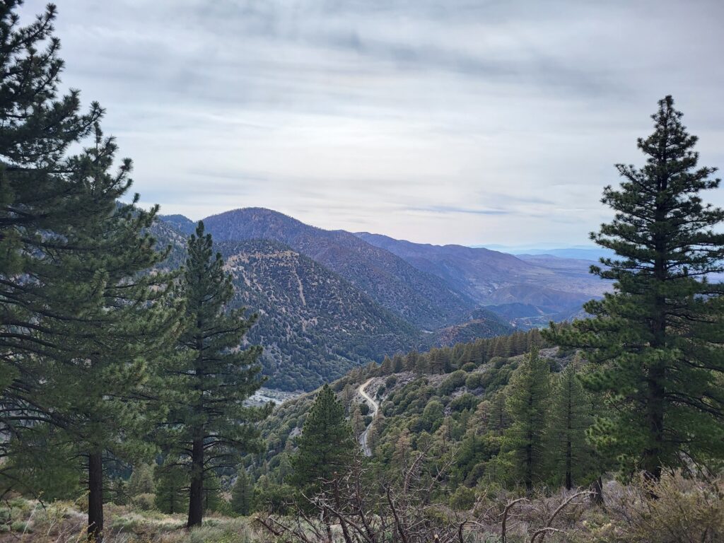 PCT day 27 · PCT class 2022 – fotka 1