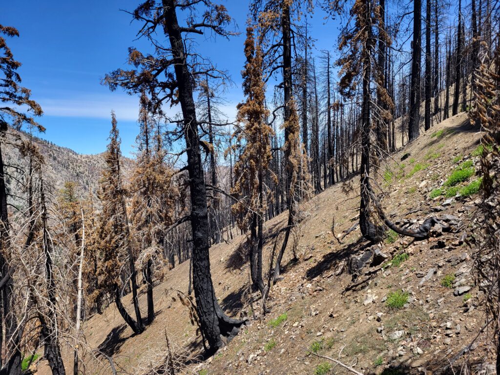 PCT day 28 · PCT class 2022 – fotka 6