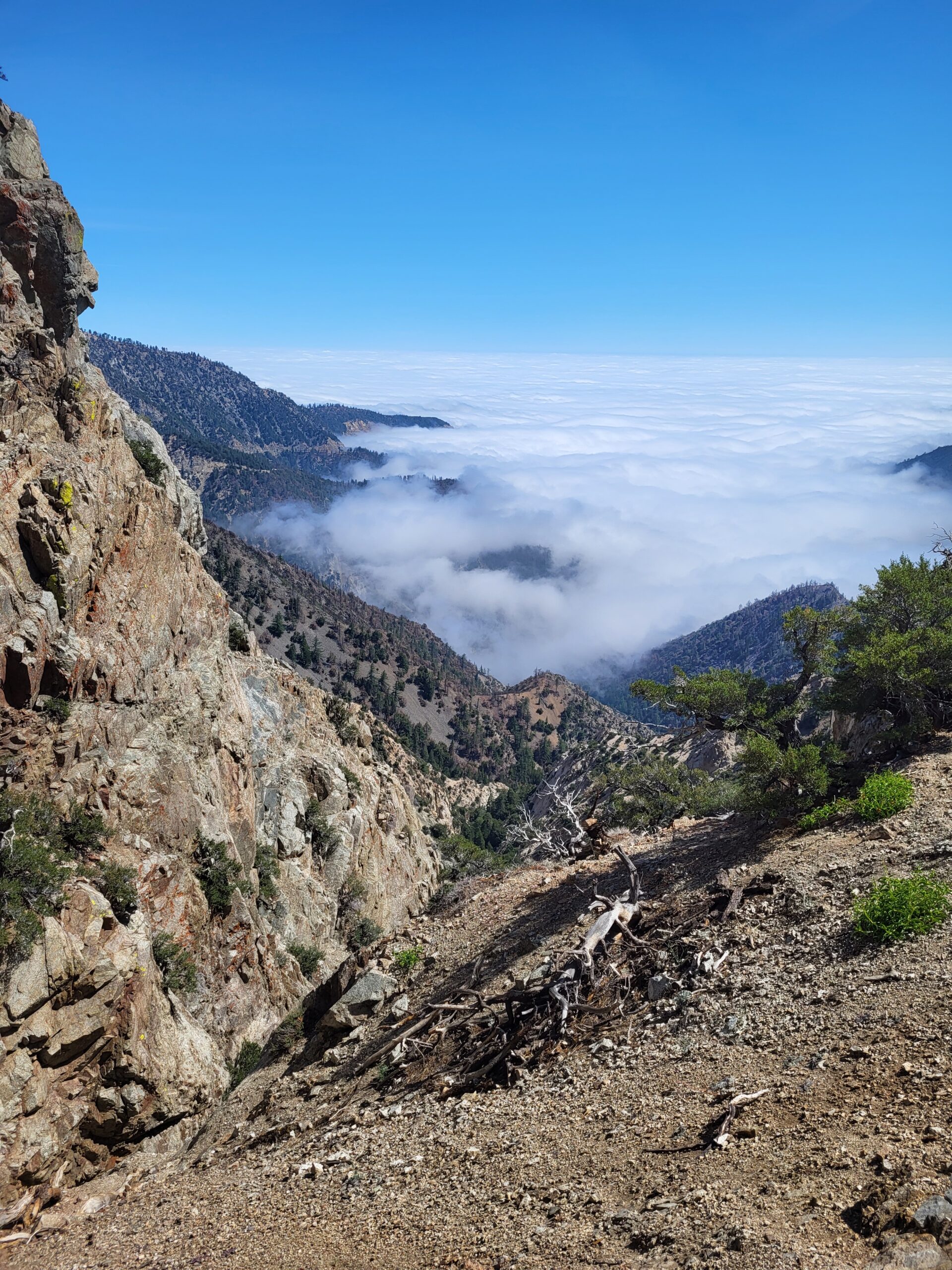 PCT day 28 · PCT class 2022 – fotka 11