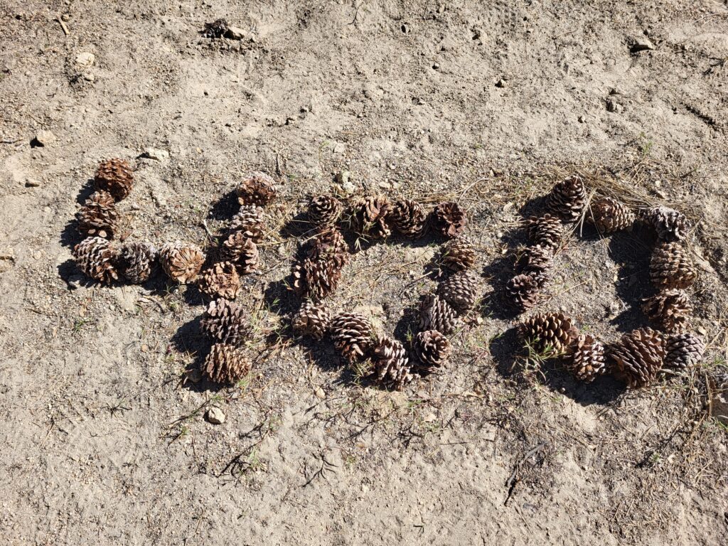 PCT day 29 · PCT class 2022 – fotka 2