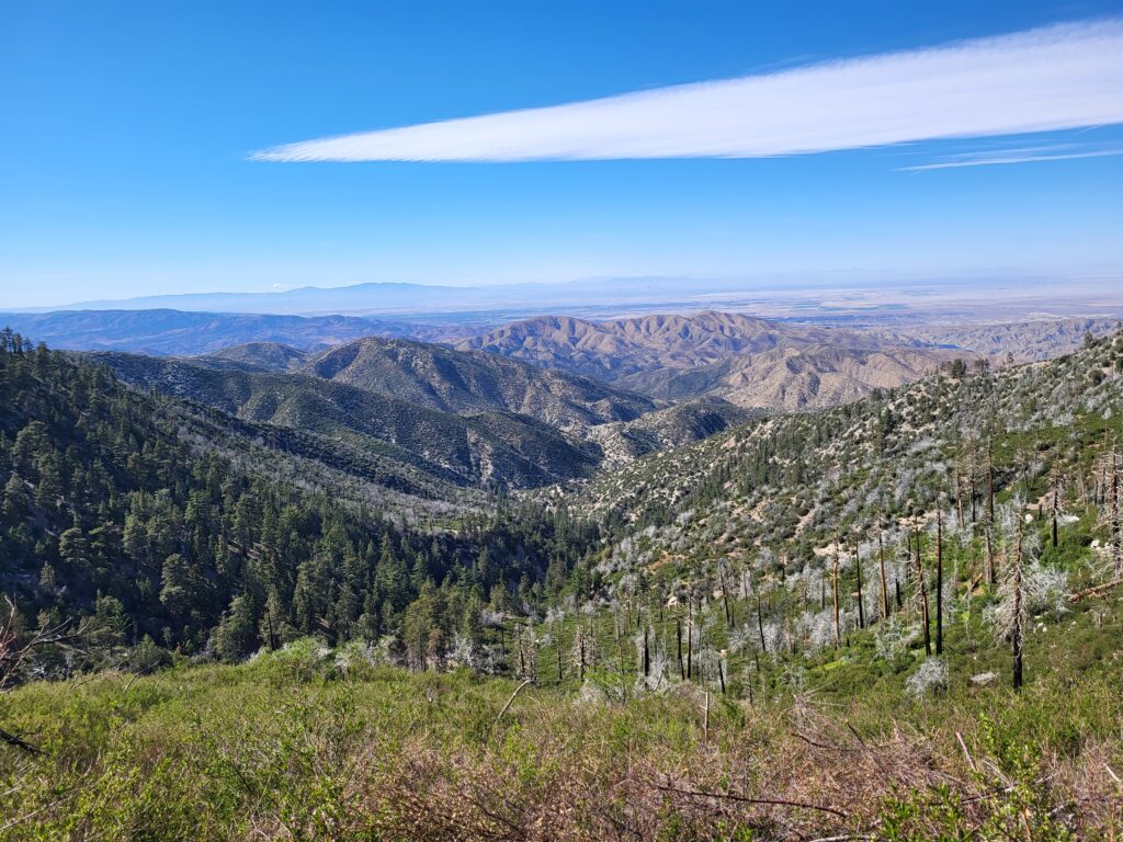 PCT day 29 · PCT class 2022 – fotka 1