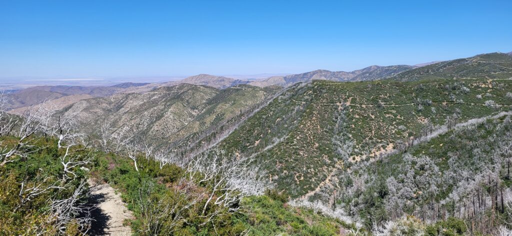 PCT day 30 · PCT class 2022 – fotka 4