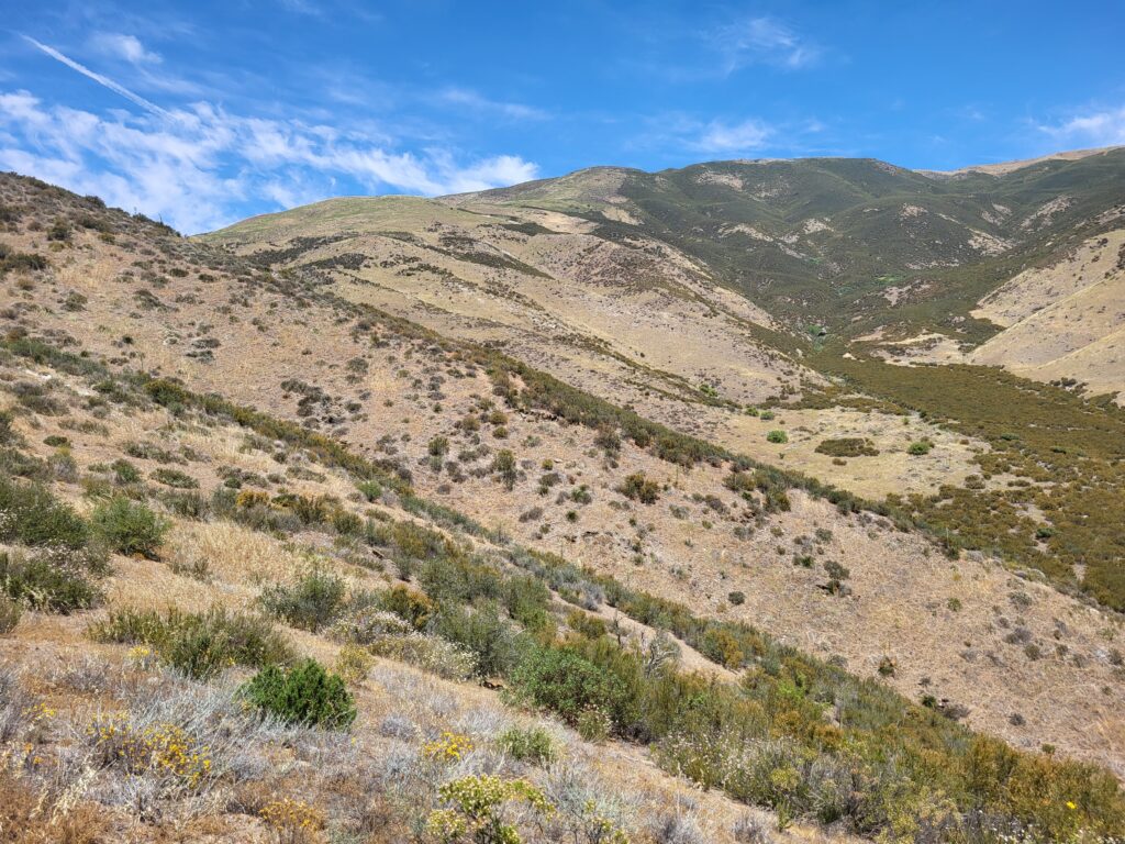 PCT day 33 · PCT class 2022 – fotka 5