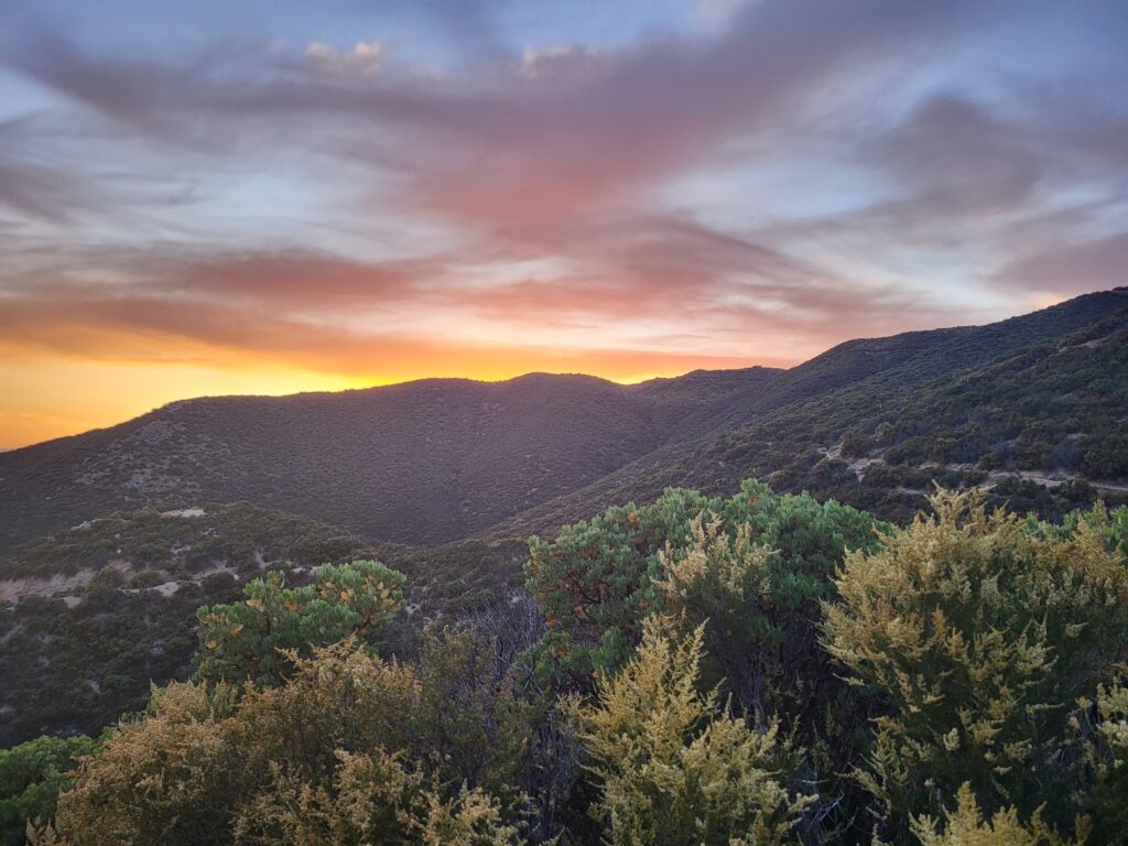 PCT day 33 · PCT class 2022 – fotka 7