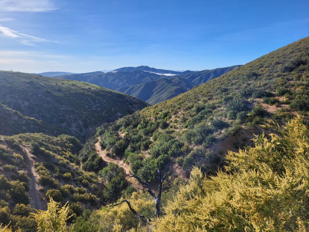 PCT day 35 · PCT class 2022 – fotka 1
