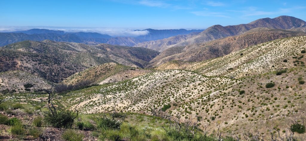 PCT day 35 · PCT class 2022 – fotka 2
