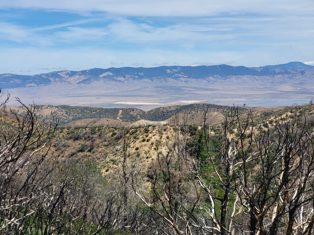 PCT day 35 · PCT class 2022 – fotka 5